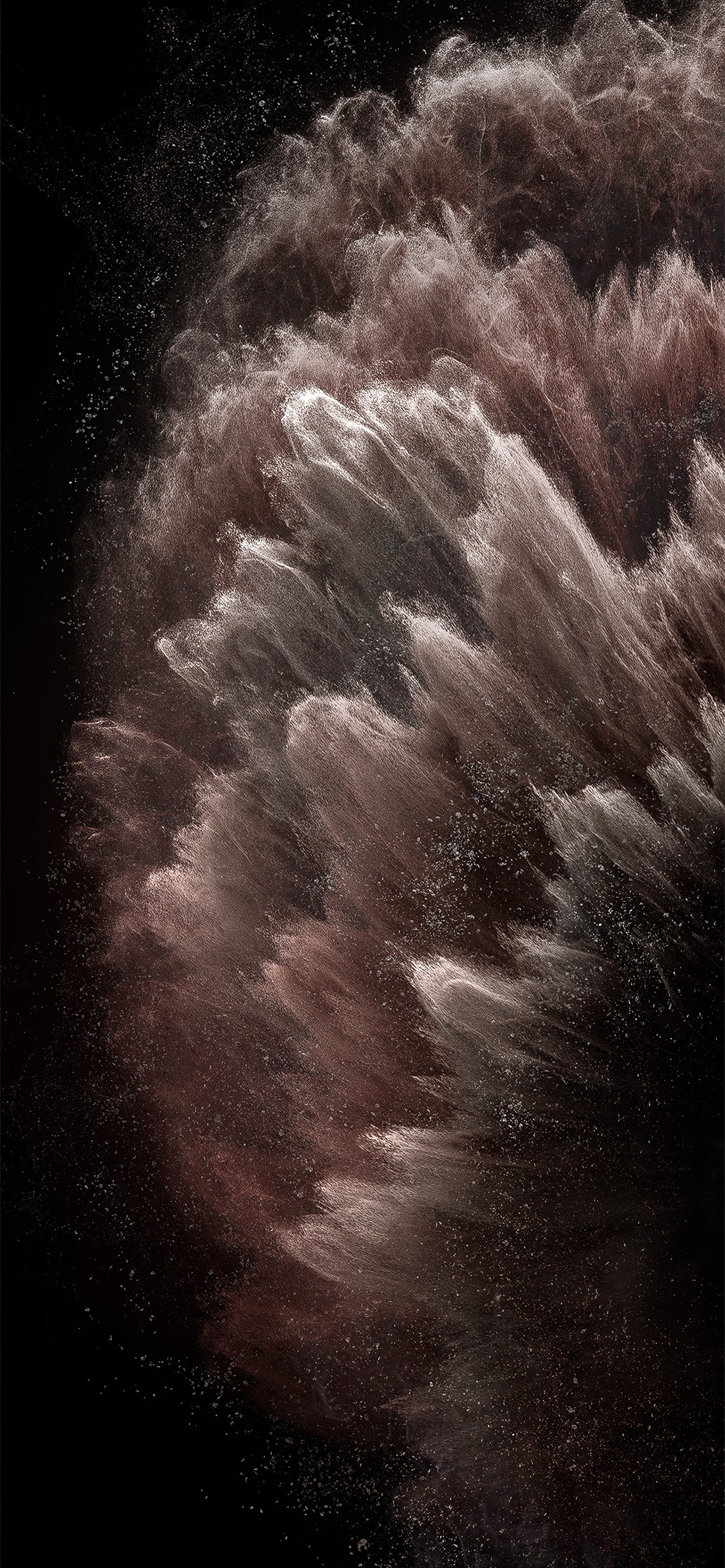 iPhone-11-Pro-stock-wallpaper-via-AR72014-rose.png