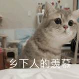 QQ图片20191020153824.gif