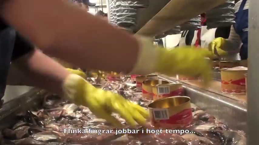 Surströmming.mp4_20191110_003407.631.jpg