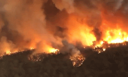 1865a56a62e14558ba5efeeecd23ad6f.gif