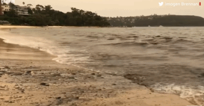 925b15750ab24181a0450ed6fa963647.gif