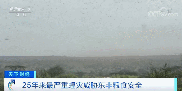 9318e6c66e494b1ea40d640b8a7183ad.gif