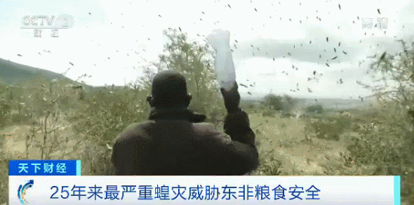 151eed83995c406da54823d4d11177c4.gif