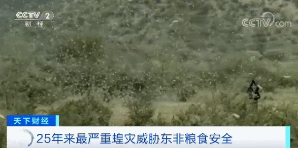 202a314671004945b1ae279ff3f081c4.gif