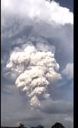 6e8889dce15443329528ebb4a77b101b.gif