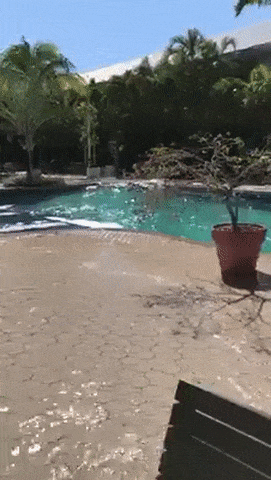 852f4bed22e843a8a29a71a08878e8d8.gif