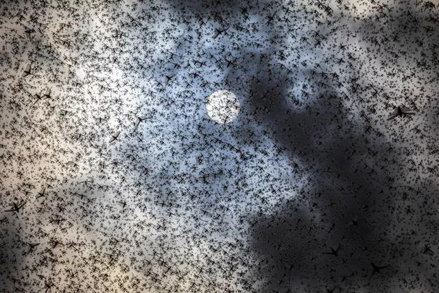 v2-95403f8c37c4e8200401848e1f6f0e14_r.jpg